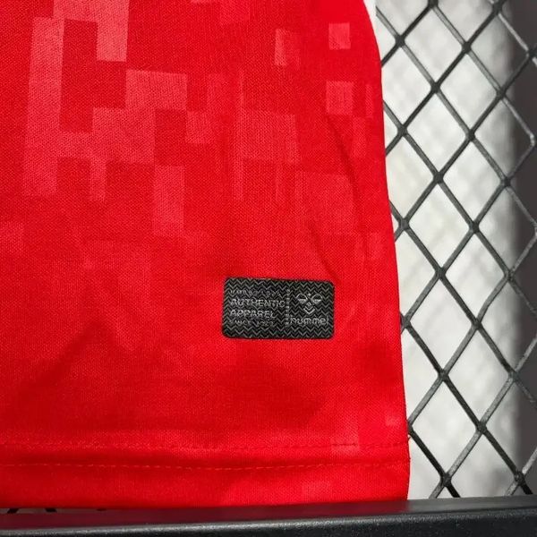 Kid Size Denmark national 2024 home game - Image 6