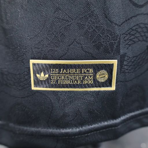 Bayern München 2025-2026 125th Anniversary player black - Image 8