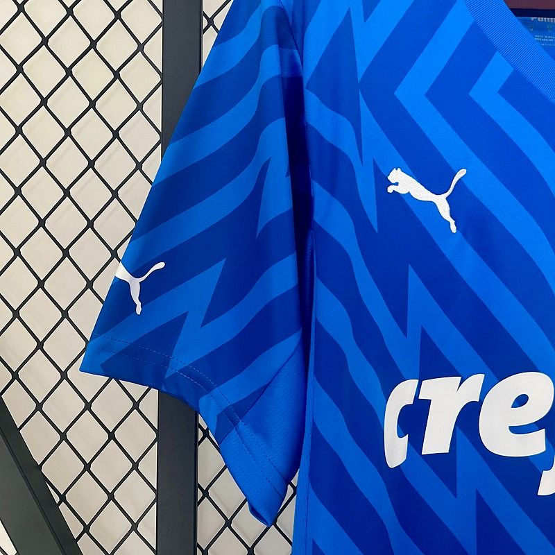 Palmeiras 2024-2025 goalkeeper - Image 8